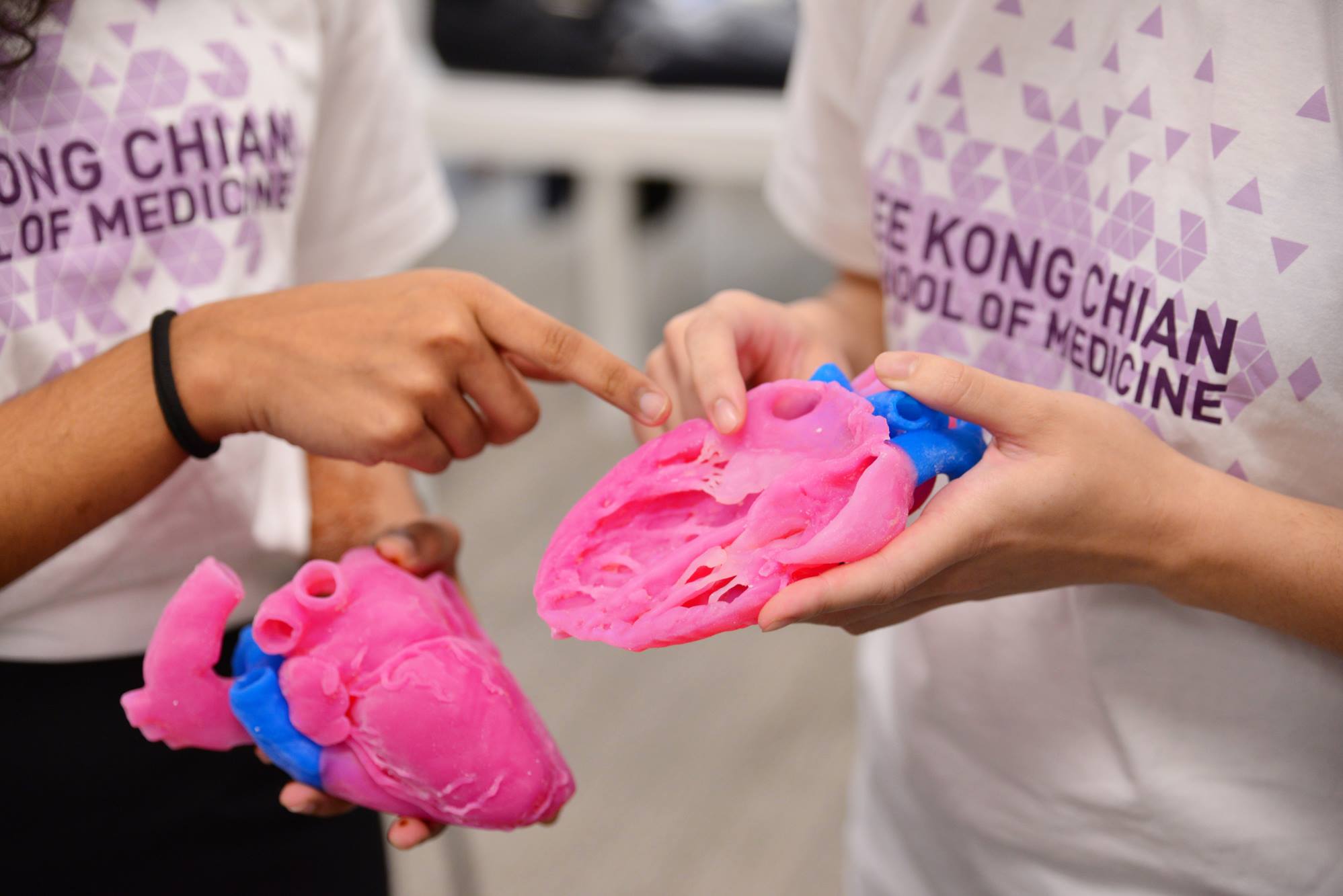 3D Printed Anatomical Specimens Enhance Learning For NTU Medical Students