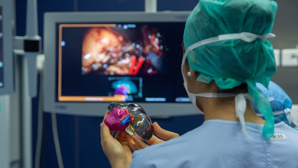 Bác sĩ tại bệnh viện Đại học Bordeaux sử dụng mô hình in 3D quả thận của bệnh nhân vào quá trình lên kế hoạch phẫu thuật