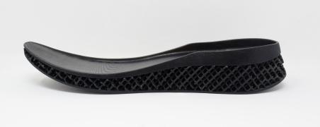 Mid-sole of a full sized shoe.